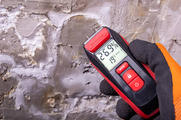 Best Residential Mold Removal  in Lake Nacimiento, CA
