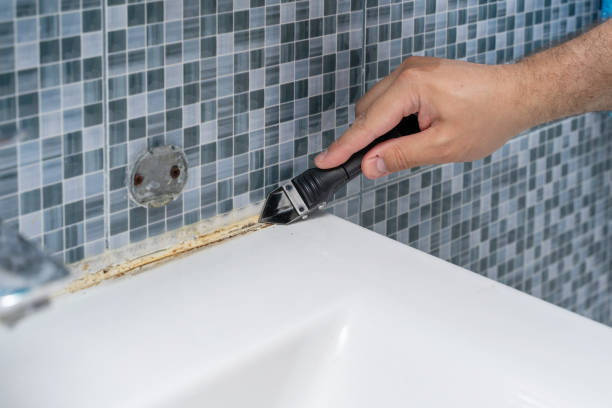 Best Emergency Mold Removal  in Lake Nacimiento, CA