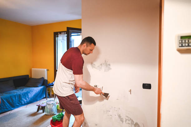 Best Mold Removal and Inspection  in Lake Nacimiento, CA