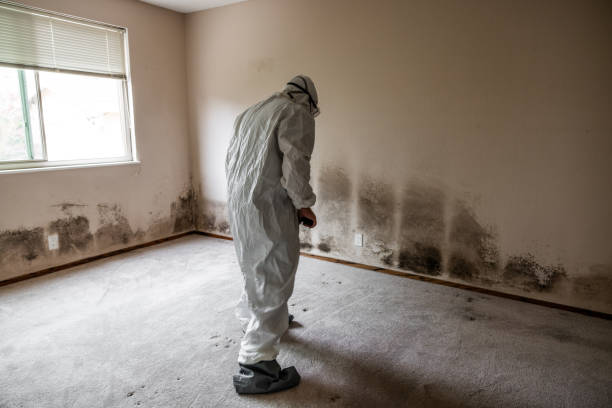 Best Residential Mold Removal  in Lake Nacimiento, CA